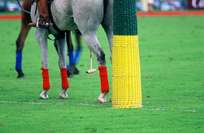 Polo Club de Veytey, Copyright Irene L. Grove
