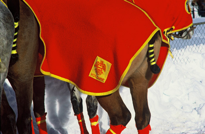 Polo St Moritz, Copyright by Irene L. Grove